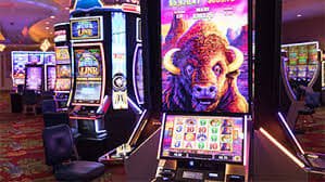 gobet51 gobet51